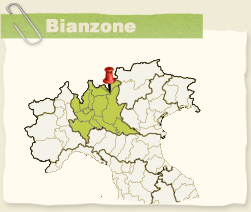 bianzone