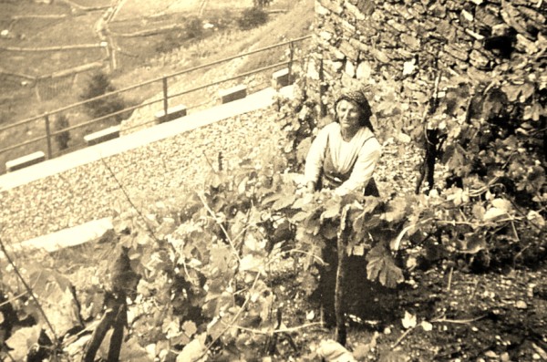 a Bianzone, da sempre... si va alla vigna