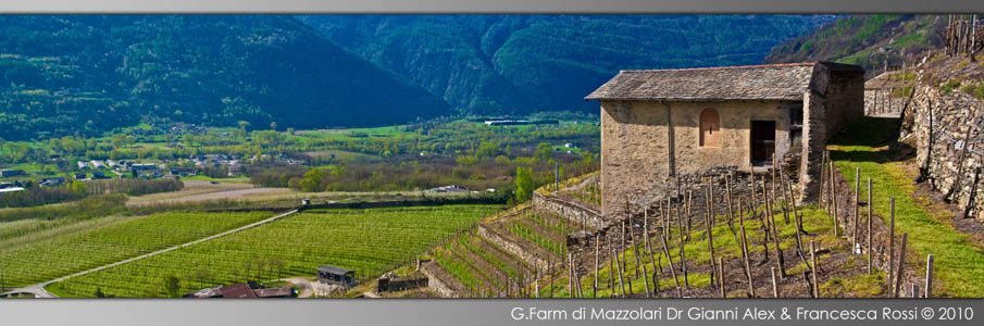 Ecomuseo delle Terrazze Retiche di Bianzone