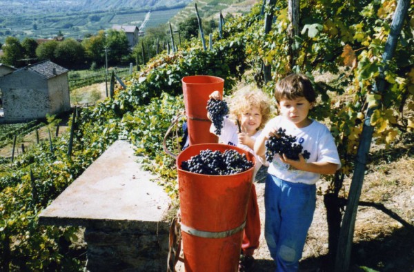 bimbi a vendemmia in località Credèè