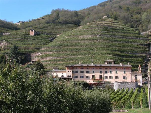 tenuta La Gatta a Bianzone